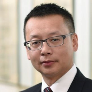 Louie Lee (Consultant at Ravenscroft & Schmierer | Founder and Managing Director of Prosynergy)